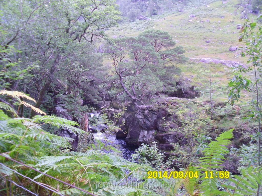 SAM_0585.JPG