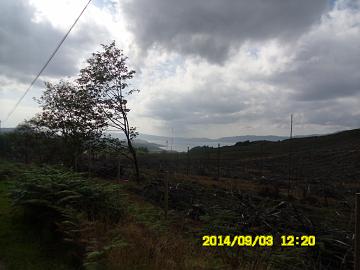 SAM_0564