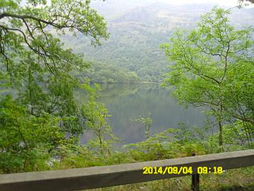 SAM_0575