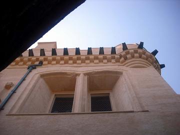 DSCF2819