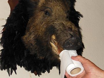 457272_3881624812437_246687818_o