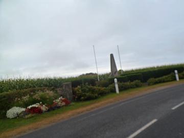 SAM_0599