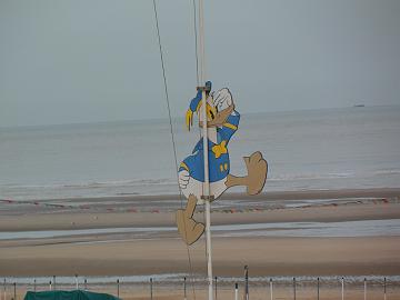 SAM_0736