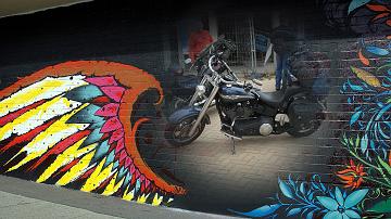 SAM_0738