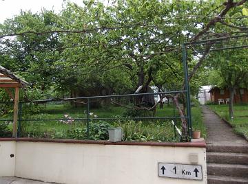 photo32