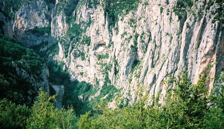 CNV00079